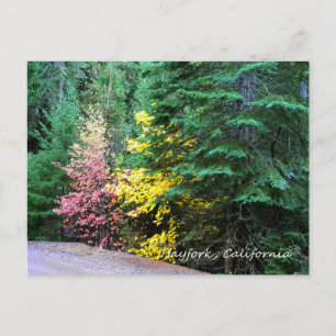 Herbstfarben in den Bergen..... Postkarte