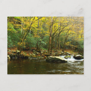 Herbstfarben in den großen, rauchigen Bergen Postkarte