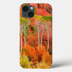 Herbstfarben in den Rocky Mountains, Wyoming, USA Case-Mate iPhone Hülle