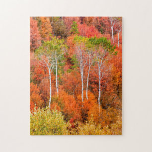 Herbstfarben in den Rocky Mountains, Wyoming, USA Puzzle