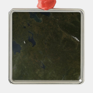 Herbstfarben in nordwestlichem Russland Silbernes Ornament