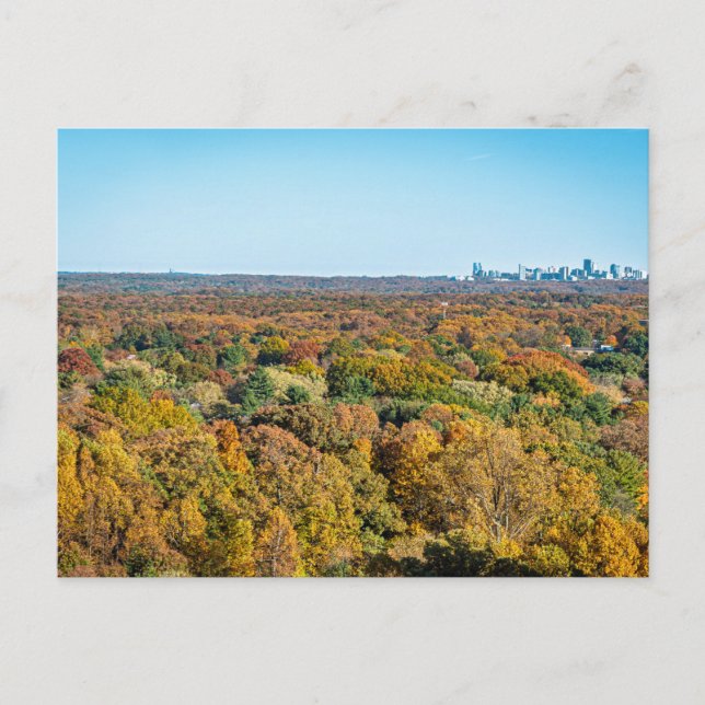 Herbstfarben in Reston Virginia Postkarte (Vorderseite)