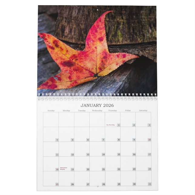 Herbstfarben Kalender (Jan 2026)