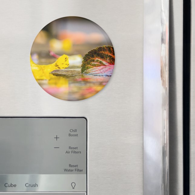 Herbstfarben Magnet (In Situ (Kühlschrank))