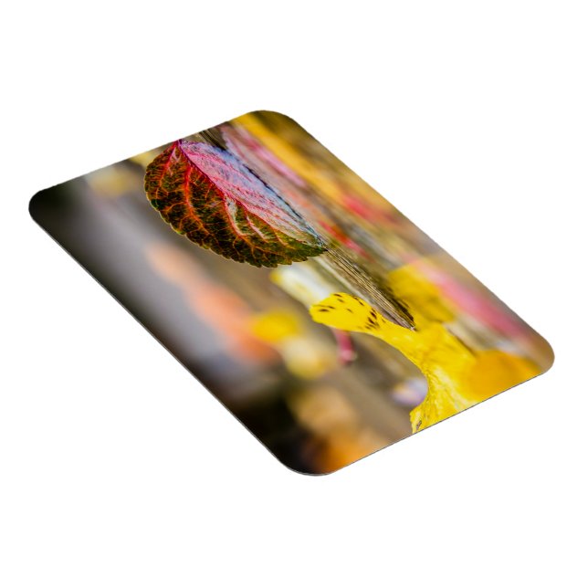 Herbstfarben Magnet (Rechte Seite)