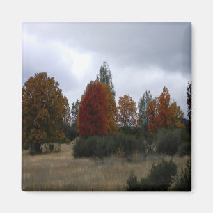 Herbstfarben...... Magnet