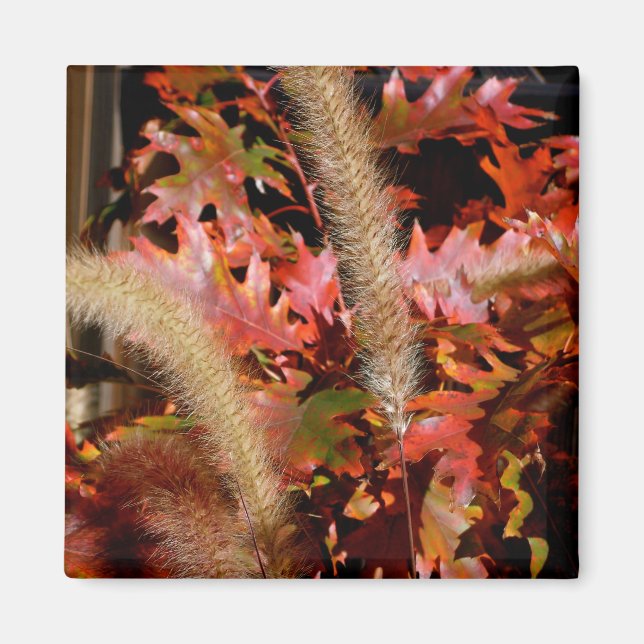 Herbstfarben Magnet (Vorne)
