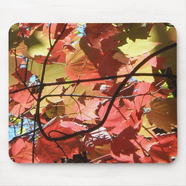 Herbstfarben Mousepad (Vorne)