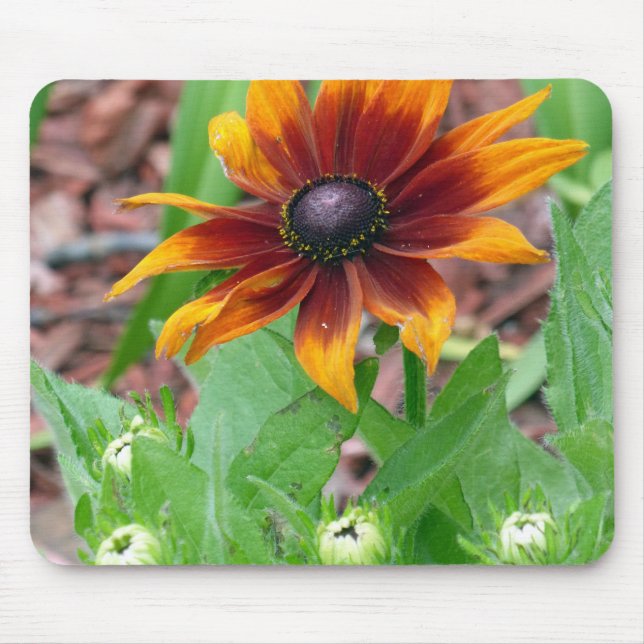 Herbstfarben Mousepad (Vorne)