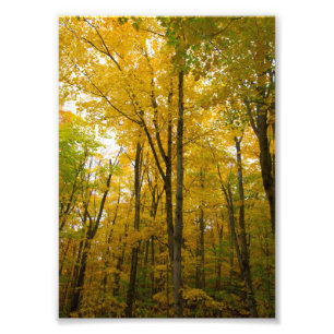 Herbstfarben, Munising, Michigan Fotodruck