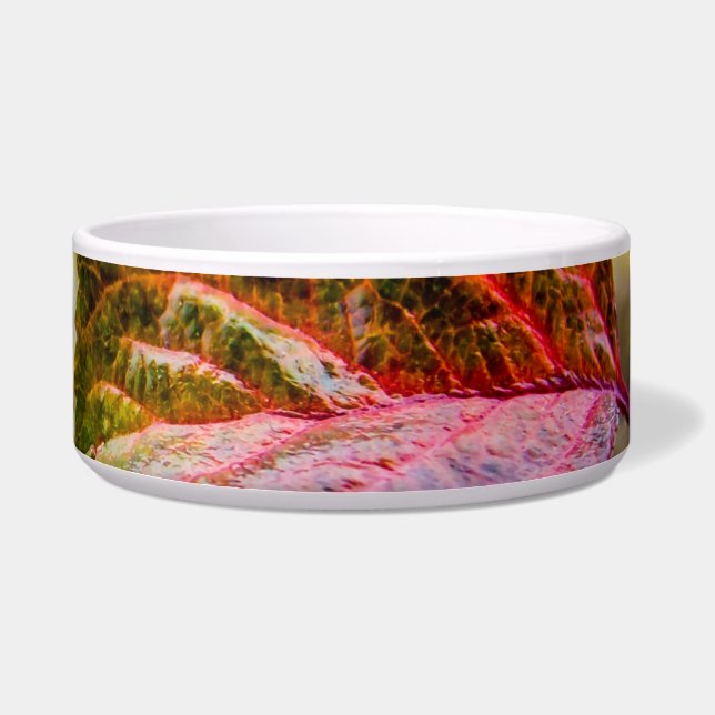 Herbstfarben Napf (Rechts)