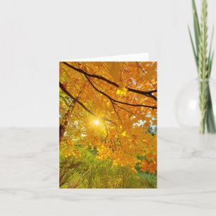 Herbstfarben ohne Notecard Dankeskarte