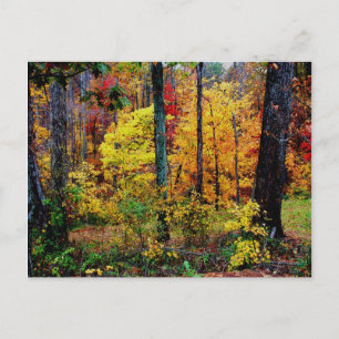 Herbstfarben POSTCARD Postkarte