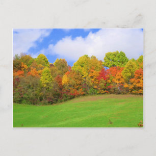 Herbstfarben Postkarte