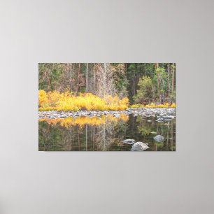 Herbstfarben Reflektionen Leinwanddruck