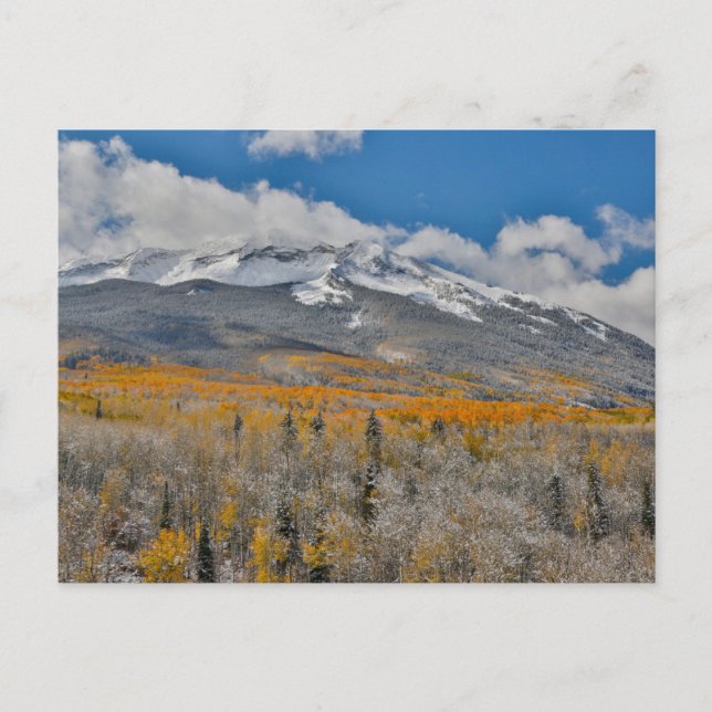 Herbstfarben | Rocky Mountains, Colorado Postkarte (Vorderseite)