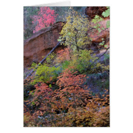 Herbstfarben rund um