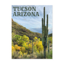 Herbstfarben Saguaro Sabino Canyon