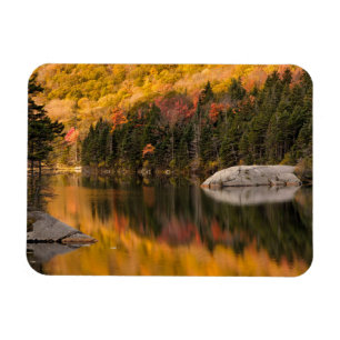 Herbstfarben spiegeln sich im Biberteich Magnet