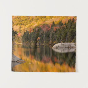 Herbstfarben spiegeln sich im Biberteich Wandteppich
