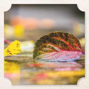 Herbstfarben Untersetzer