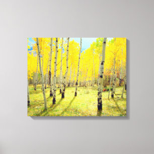 Herbstfarben von Aspen 4 Leinwanddruck