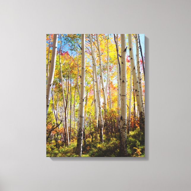 Herbstfarben von Aspen 5 Leinwanddruck (Vorderseite)