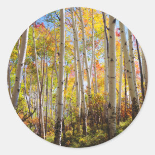 Herbstfarben von Aspen 5 Runder Aufkleber