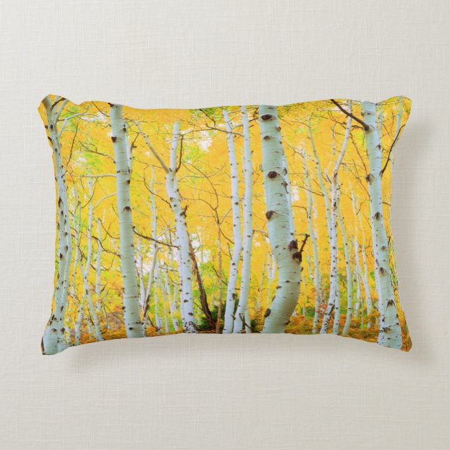 Herbstfarben von Aspen-Bäumen 1 Dekokissen (Vorderseite)