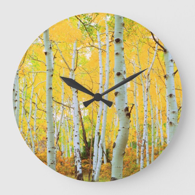 Herbstfarben von Aspen-Bäumen 1 Große Wanduhr (Vorderseite)