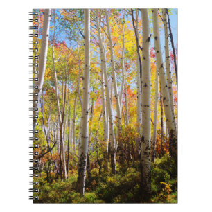 Herbstfarben von Aspen-Bäumen 5 Notizblock