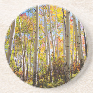 Herbstfarben von Aspen-Bäumen 5 Sandstein Untersetzer