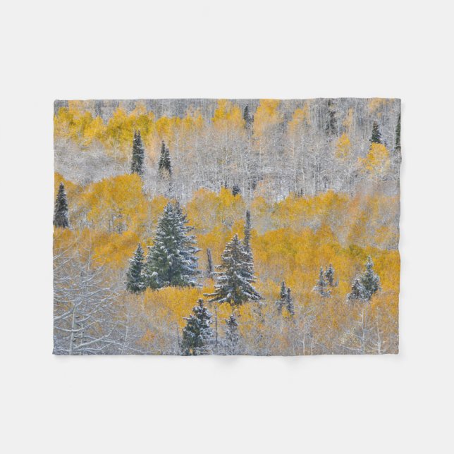 Herbstfarben von Aspens & Fresh Snow Keebler Pass Fleecedecke (Vorderseite (Horizontal))
