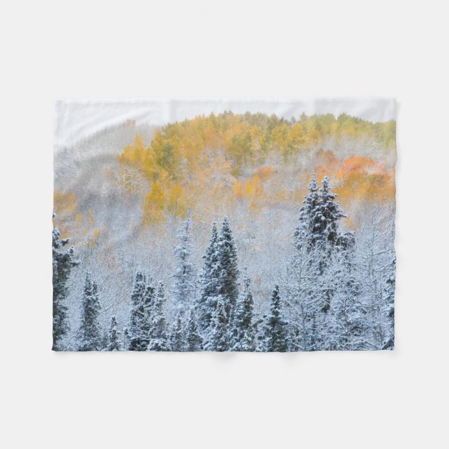 Herbstfarben von Aspens & Fresh Snow Keebler Pass Fleecedecke (Vorderseite (Horizontal))