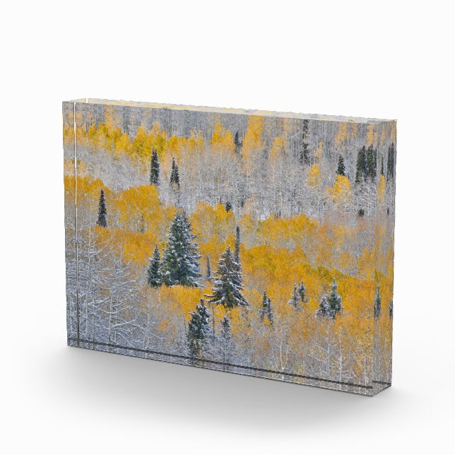 Herbstfarben von Aspens & Fresh Snow Keebler Pass Fotoblock (Rechts)