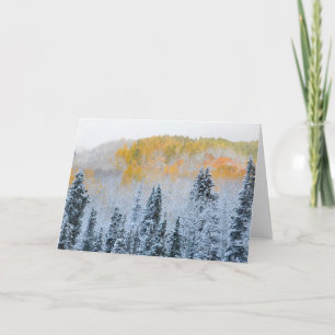 Herbstfarben von Aspens & Fresh Snow Keebler Pass Karte