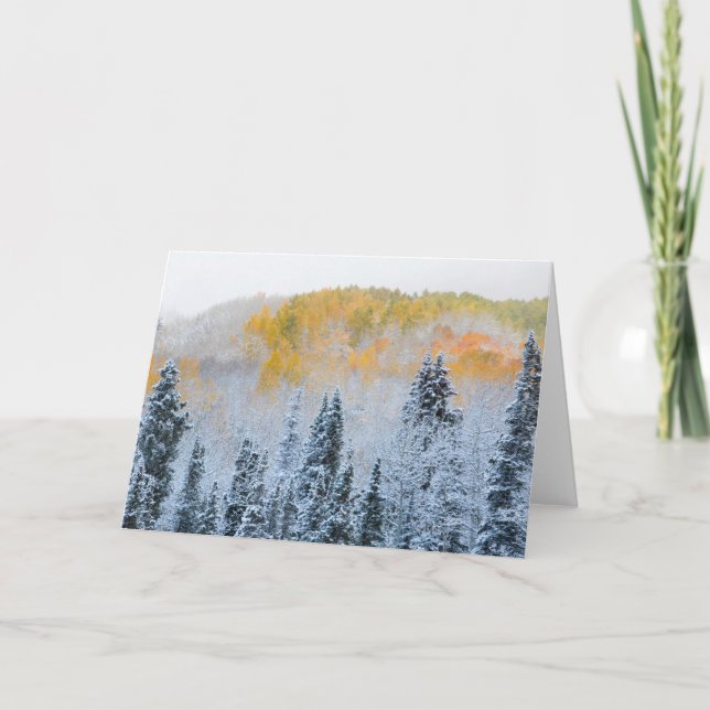 Herbstfarben von Aspens & Fresh Snow Keebler Pass Karte (Vorderseite)