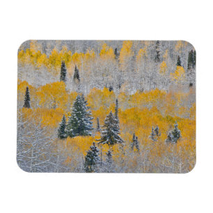 Herbstfarben von Aspens & Fresh Snow Keebler Pass Magnet