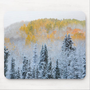 Herbstfarben von Aspens & Fresh Snow Keebler Pass Mousepad