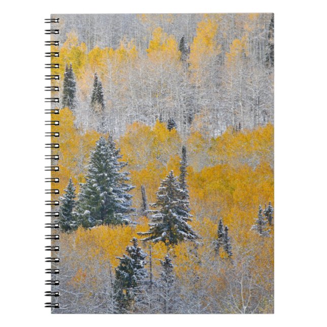 Herbstfarben von Aspens & Fresh Snow Keebler Pass Notizblock (Vorderseite)
