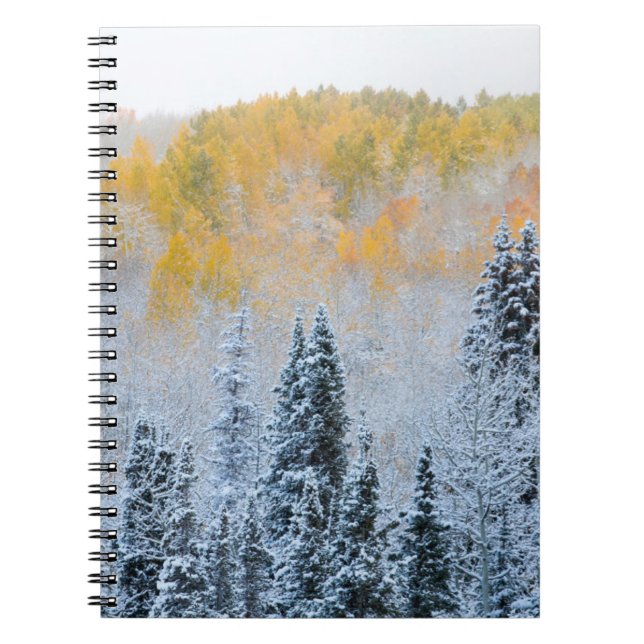 Herbstfarben von Aspens & Fresh Snow Keebler Pass Notizblock (Vorderseite)