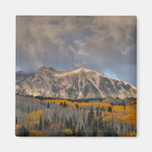 Herbstfarben von Aspens, Keebler Pass Magnet