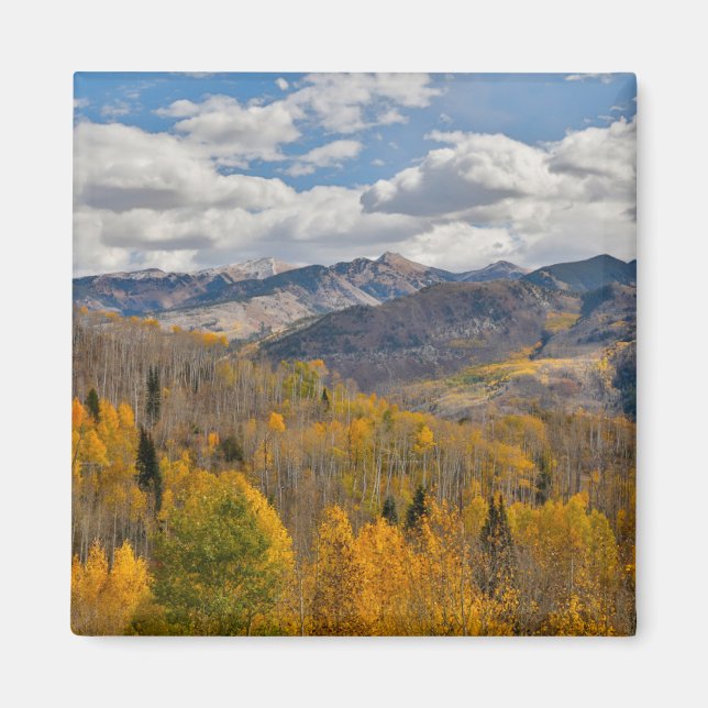 Herbstfarben von Aspens & Oaks Keebler Pass Magnet (Vorne)