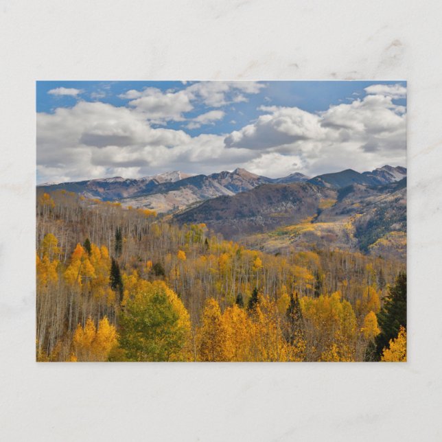 Herbstfarben von Aspens & Oaks Keebler Pass Postkarte (Vorderseite)