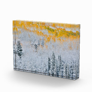 Herbstfarben von Aspens Rocky Mountains, Colorad Fotoblock