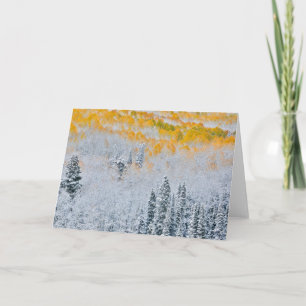 Herbstfarben von Aspens   Rocky Mountains, Colorad Karte