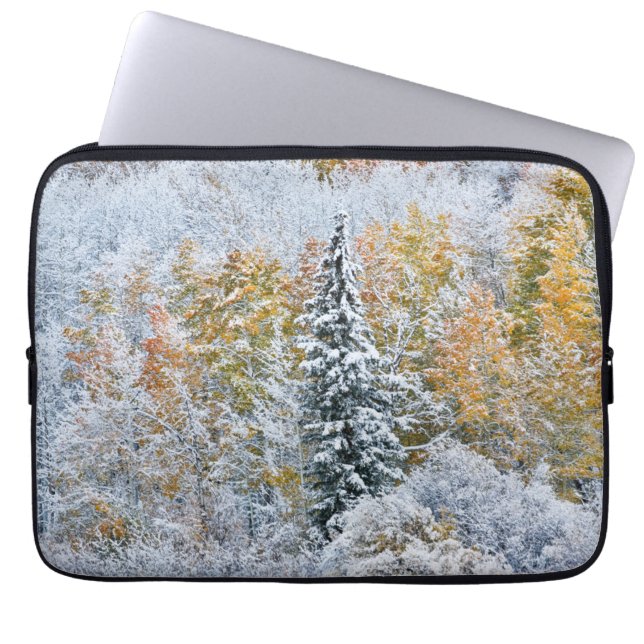 Herbstfarben von Aspens & Snow Keebler Pass Laptopschutzhülle (Vorderseite)