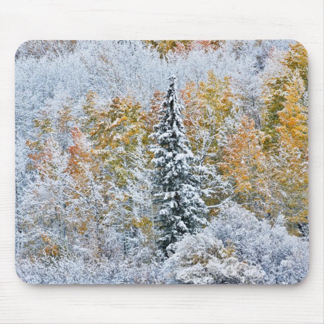 Herbstfarben von Aspens & Snow Keebler Pass Mousepad (Vorne)