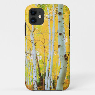 Herbstfarben von Espen 1 Case-Mate iPhone Hülle