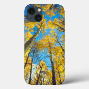 Herbstfarben von Espen 2 Case-Mate iPhone Hülle